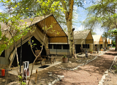 Africa Safari Escarpment Lake Manyara - Safari Comfort Accomodation - 1-1