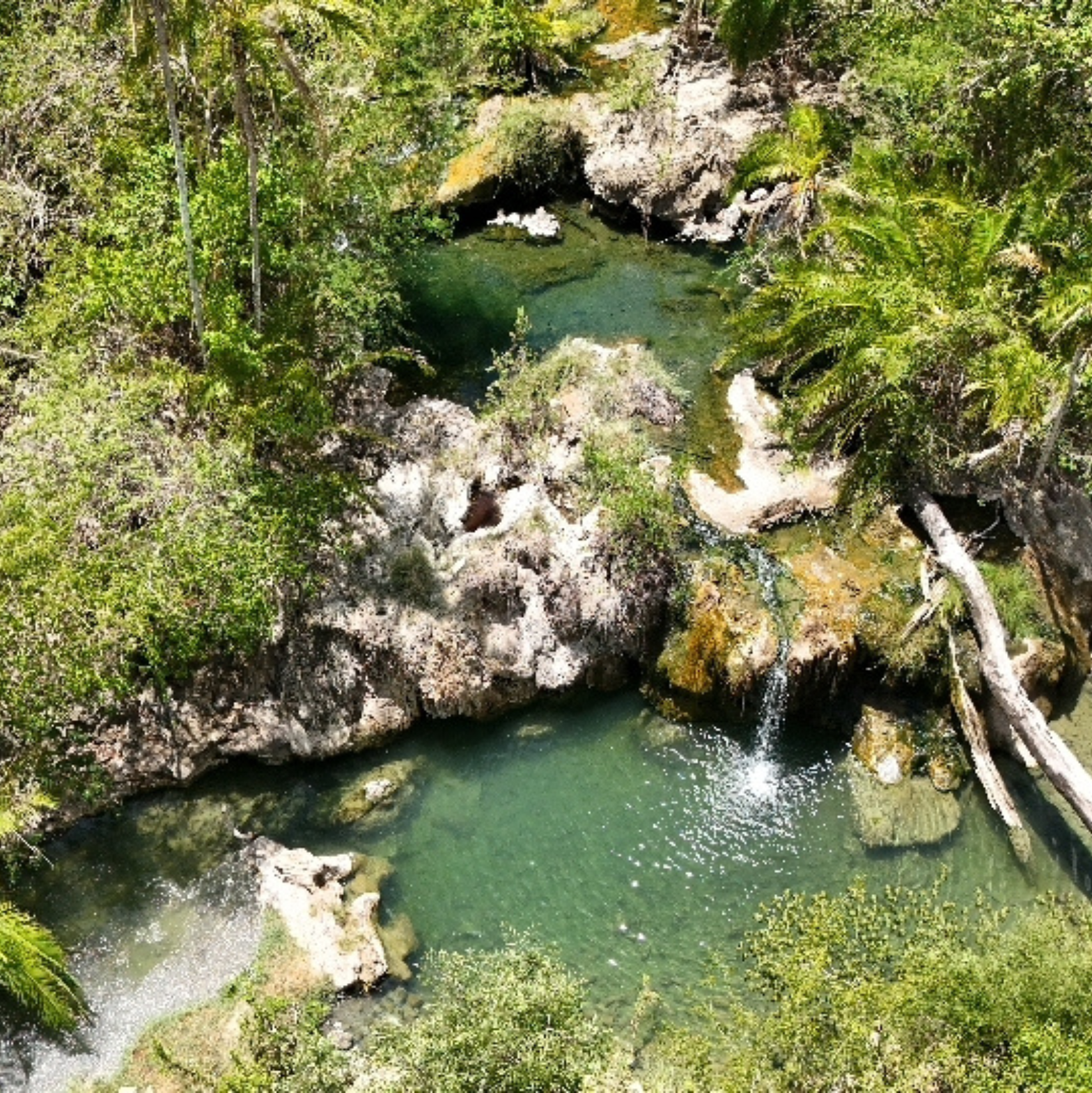 Africa Safari Hot Springs