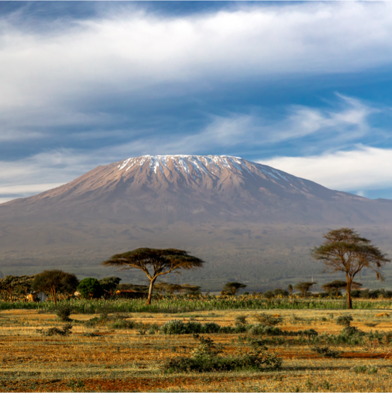 Africa Safari Kilimanjaro - Image 10-1