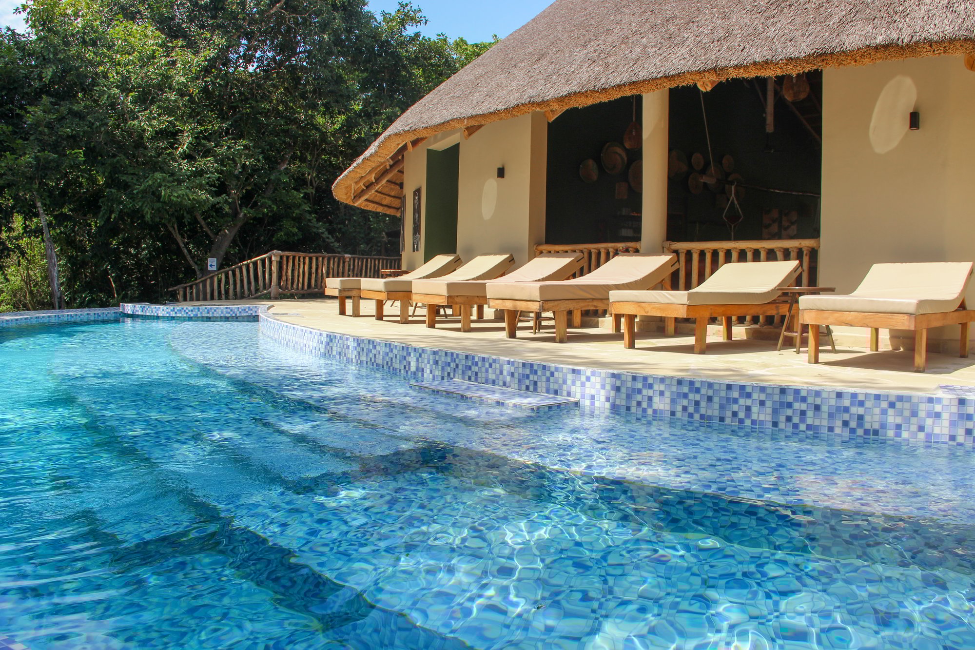 Africa Safari Nyerere9