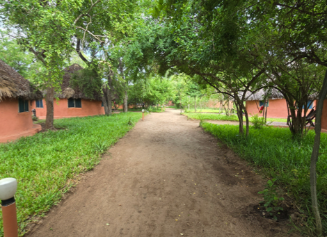 Africa Safari Selous - Banda Bungalow - 2