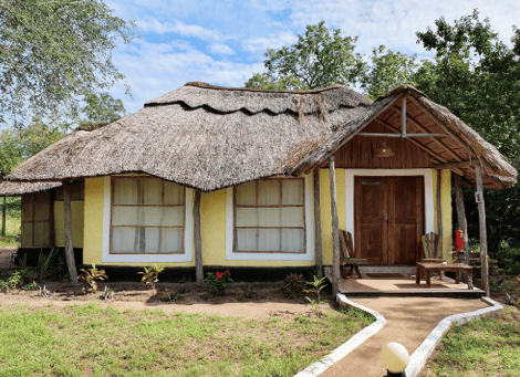 Africa Safari Selous - Pool Bungalow - 1