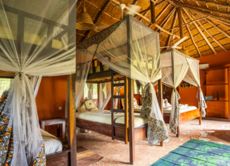 Africa Safari Selous - Pool Bungalow - 4