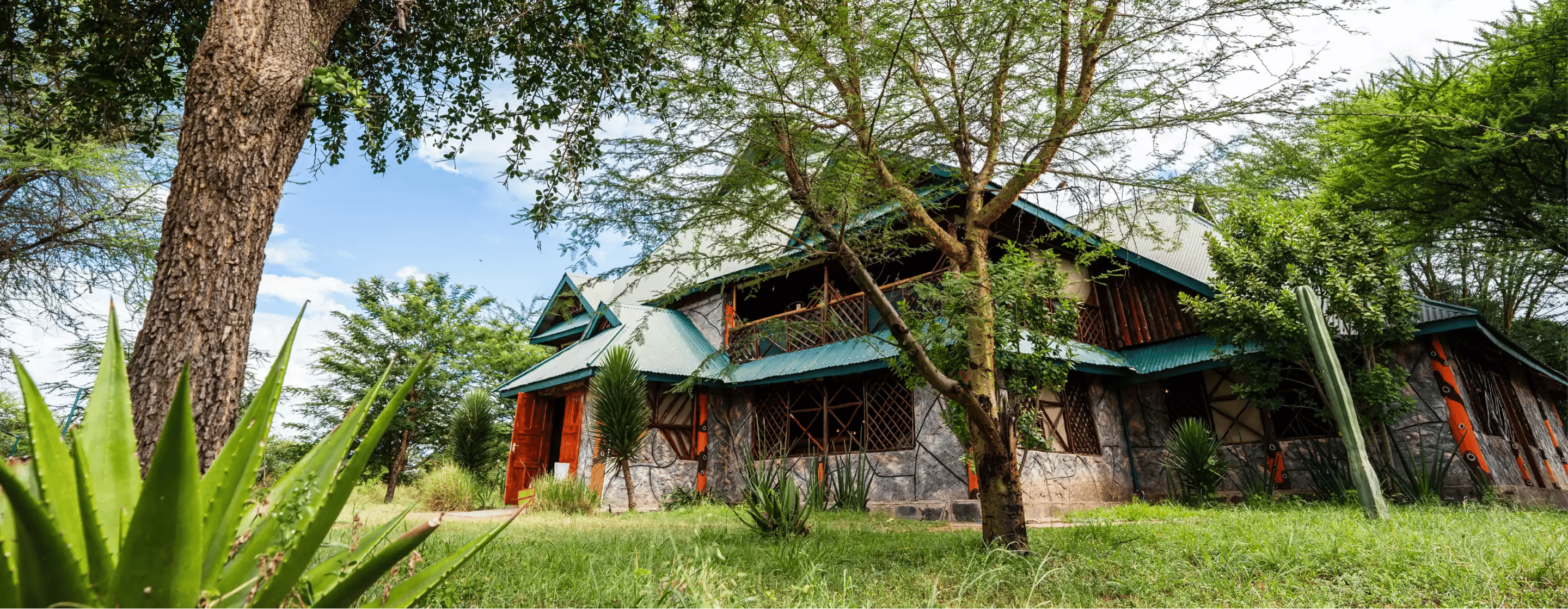 Africa Safari Serengeti Ikoma - Image 07 - Header Banner-1