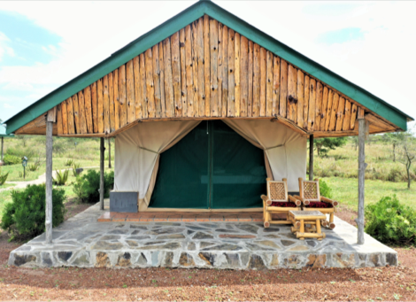 Africa Safari Serengeti Ikoma - Safari Comfort Accommodation - 1