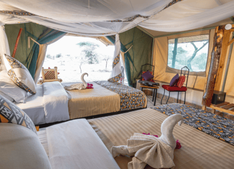 Africa Safari Serengeti Ikoma - Safari Comfort Accommodation - 4