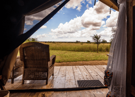 Africa Safari Serengeti Ikoma - Safari Comfort Family - 2