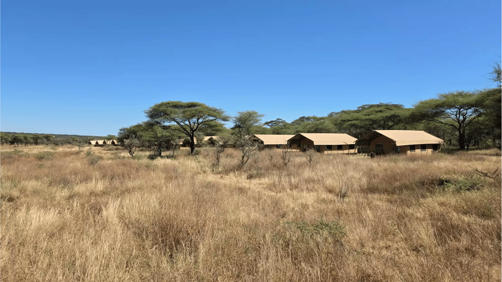 Beach Safari - Accommodation Detail - Africa Safari Serengeti Kusini - Image Gallery 02.WEB.P
