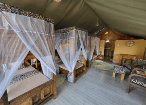 Beach Safari - Africa Safari Lake Manyara - Safari Comfort Family - 3 - Tanzania.webp