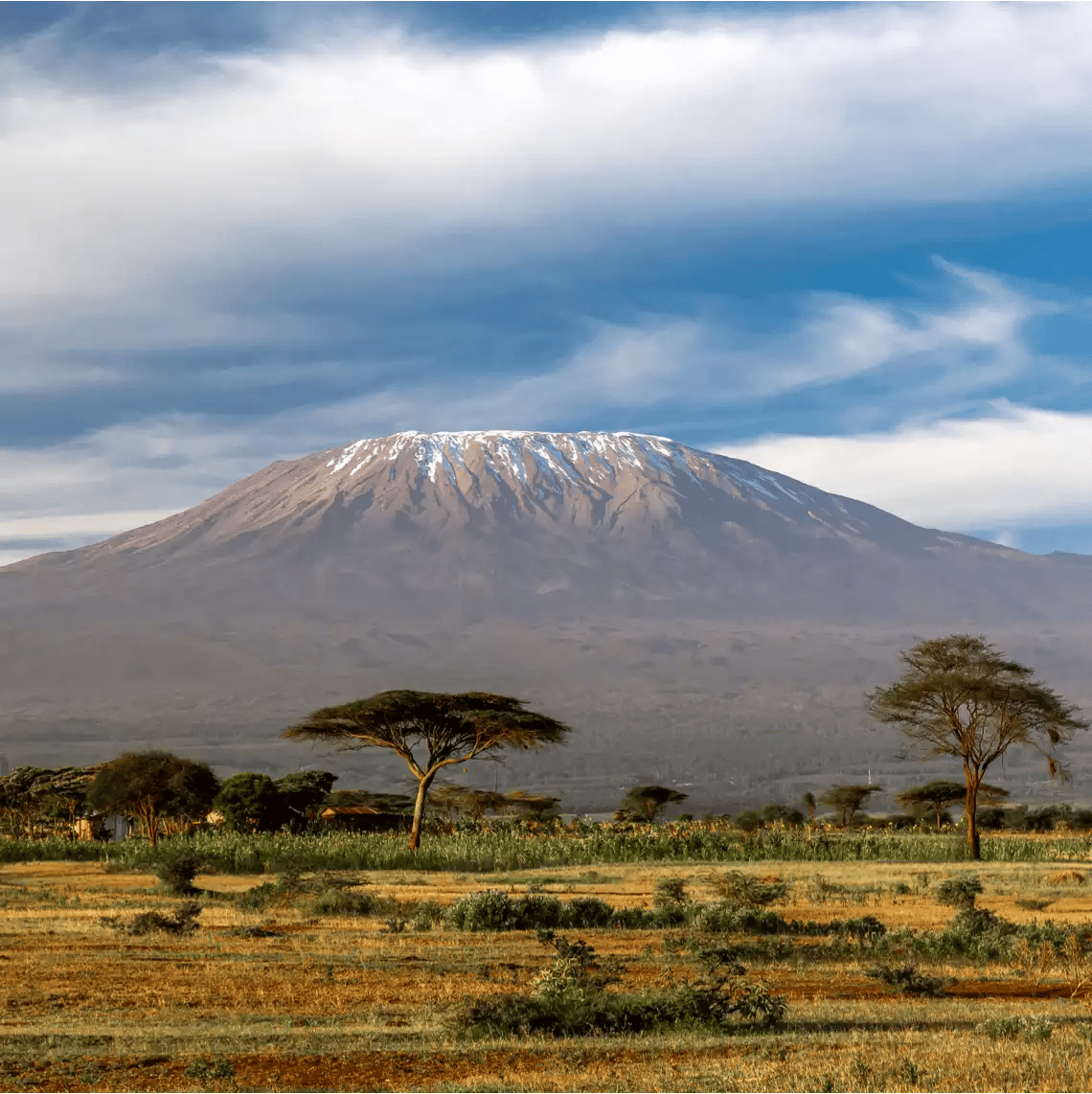 Beach Safari - Destination Detail - Serengeti National Park - Africa Safari Kilimanjaro