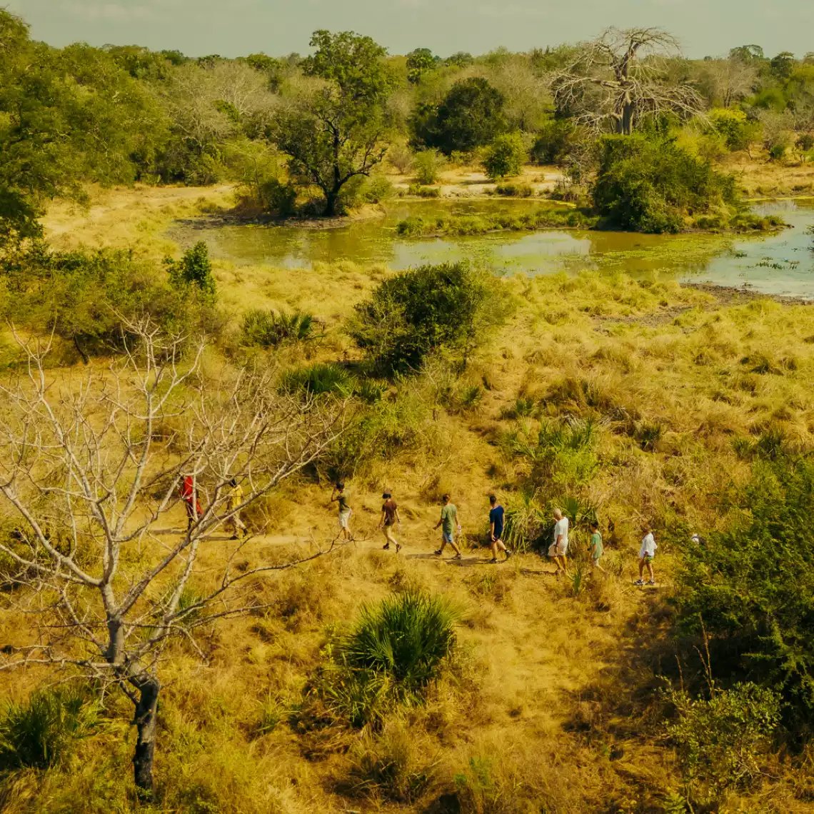 Beach Safari - Destinations Northern Tanzania - Selous Nyerere National Park