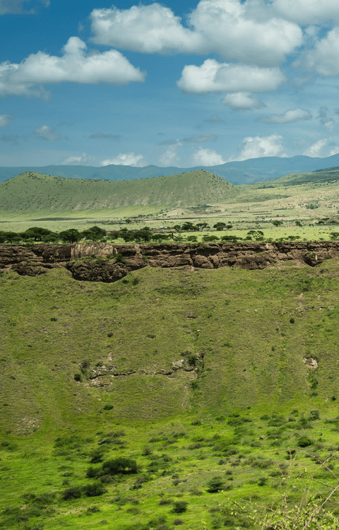Beach Safari - Visa Travel and Health Guidelines - Header Banner - Mobile