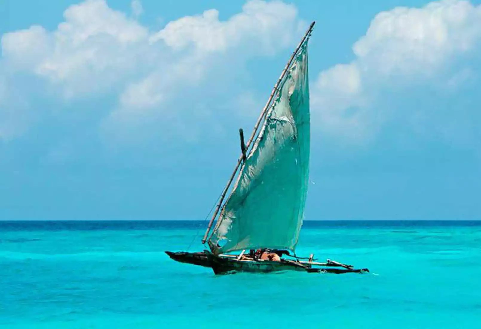 Beach Safari - Activities - Blue Safari - Right Image