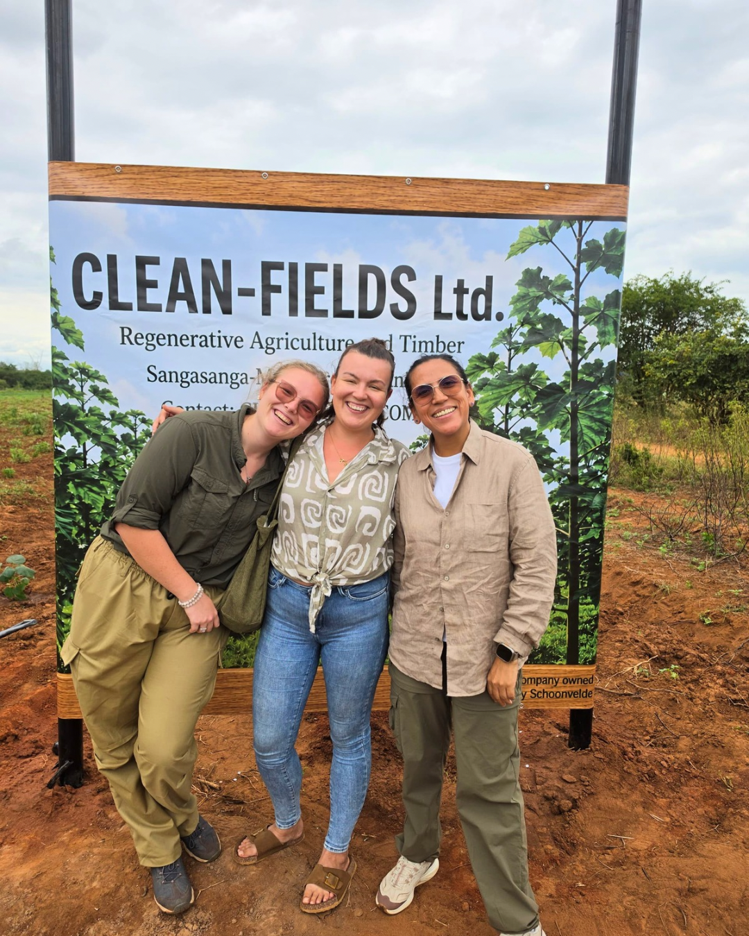 Clean fields - 5