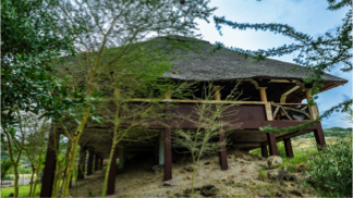 Image Gallery Thumbnail 08
