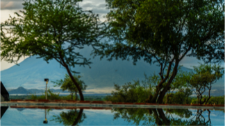 Image Gallery Thumbnail 14
