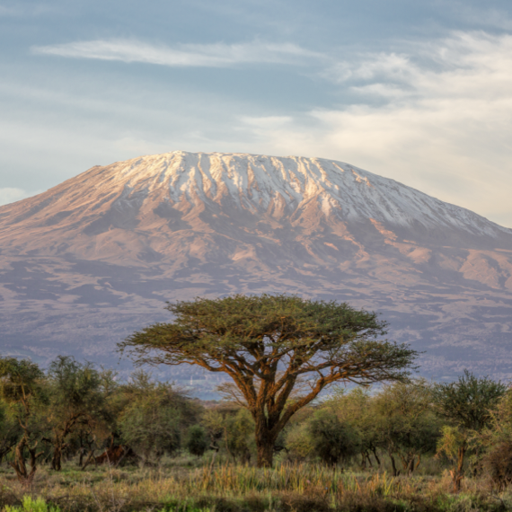 Kilimanjaro and Mount Meru - 05-1