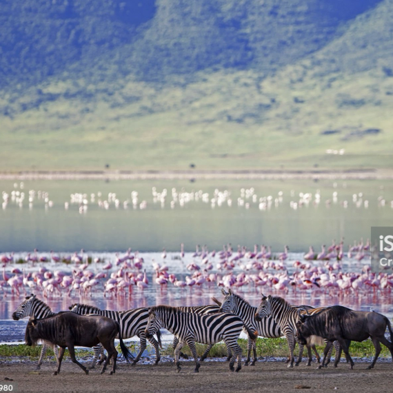 Ngorongoro Crater