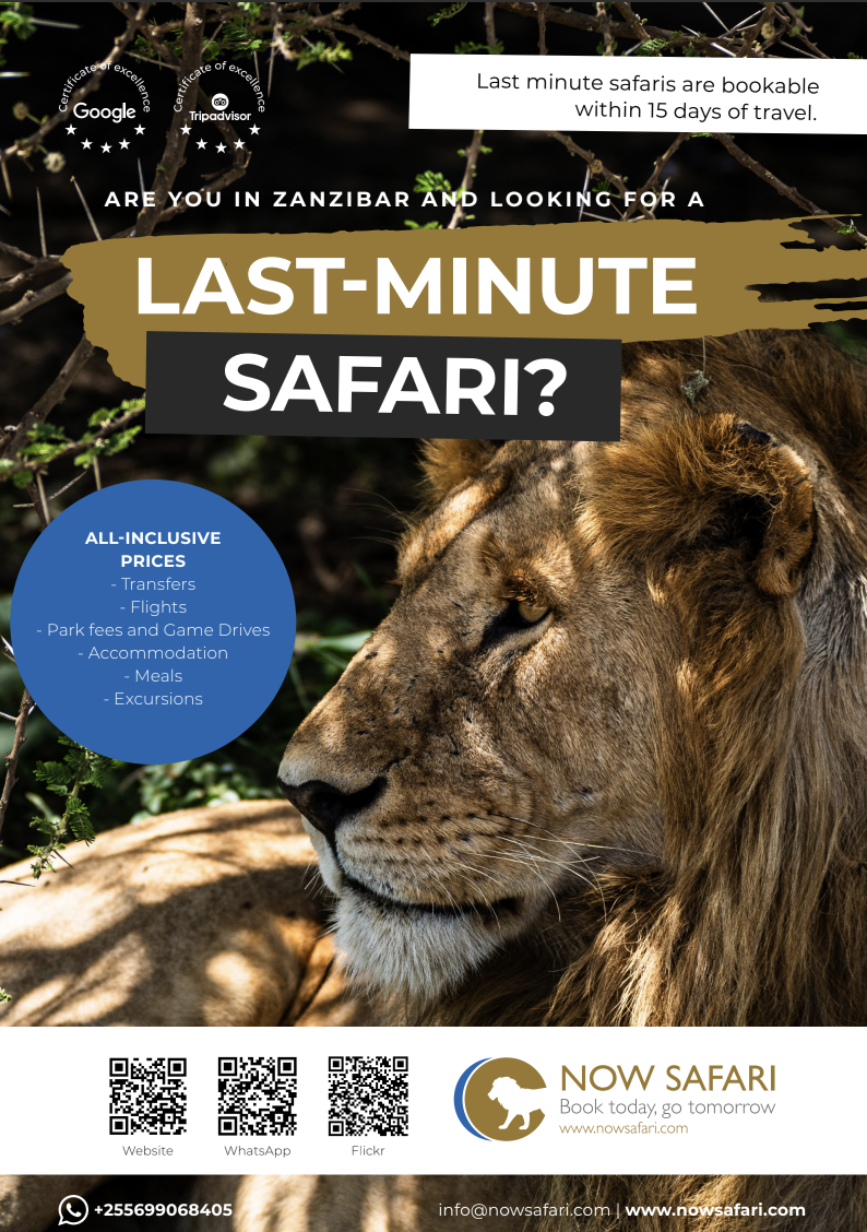 Now Safari Brochure