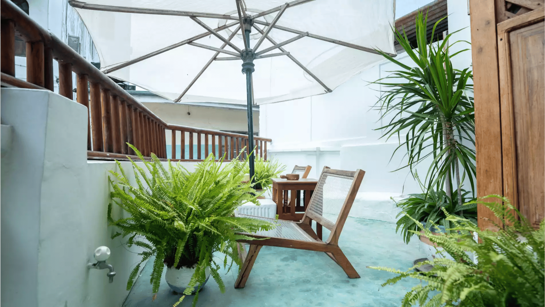 Beach Safari - Accommodation Detail - Shaba Boutique Hotel - Image Gallery 06.WEB.P