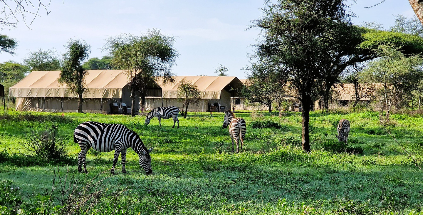 South Serengeti Banners (1)