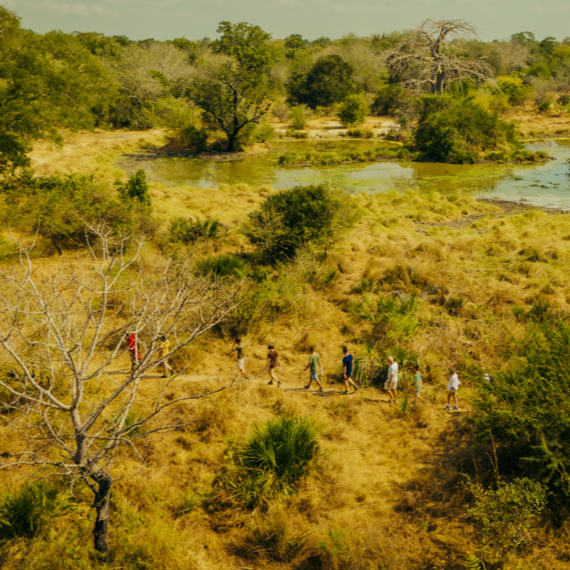 Southern Tanzania - Square - 01