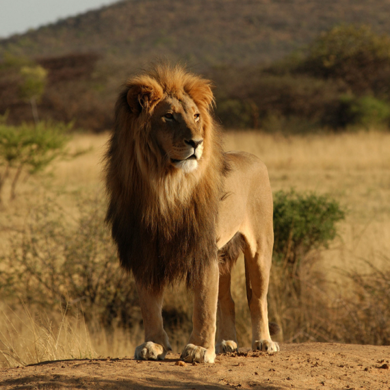 Southern Tanzania - Square - 02