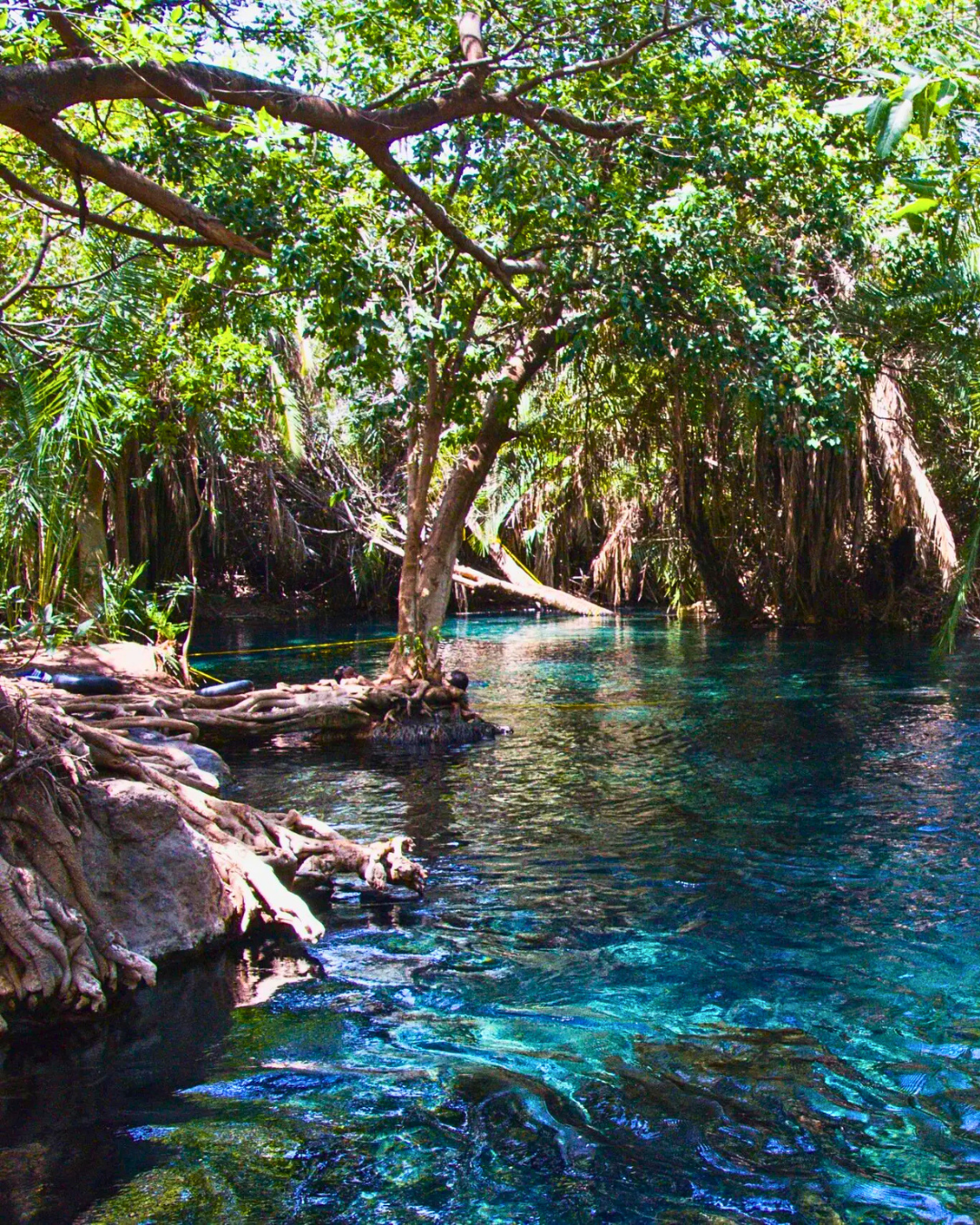 TZ - Excursion - Kikuletwa hot springs (2)