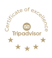 Tripadvisor - Logo 1@2x