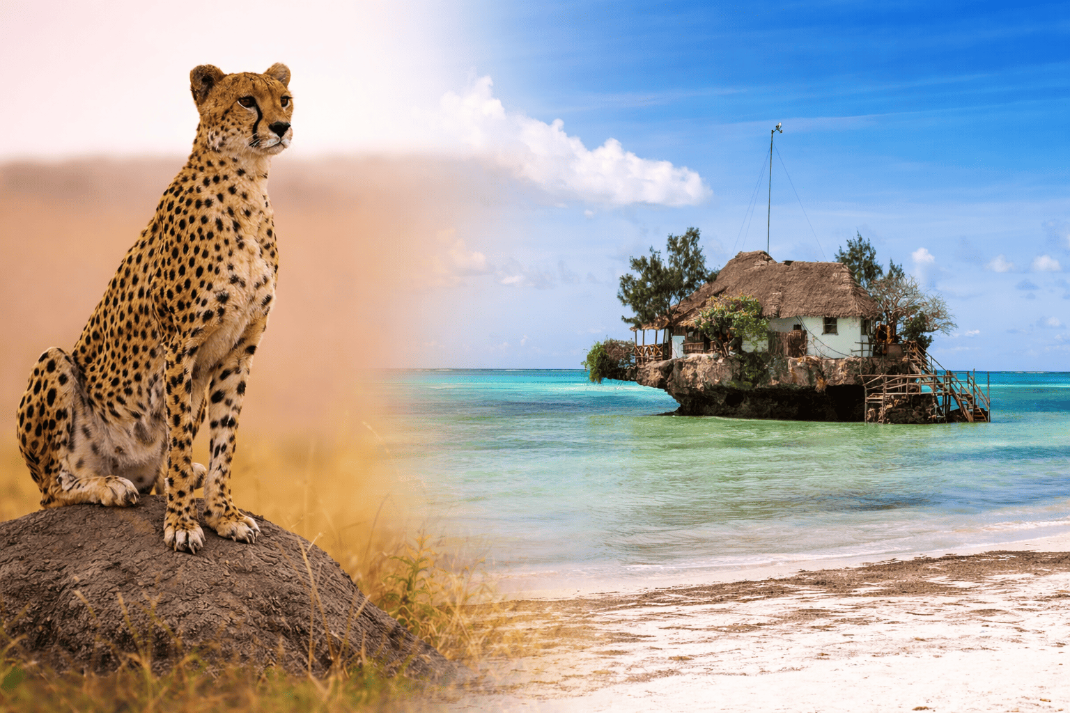 Zanzibar and the Best of the Northern Circuit