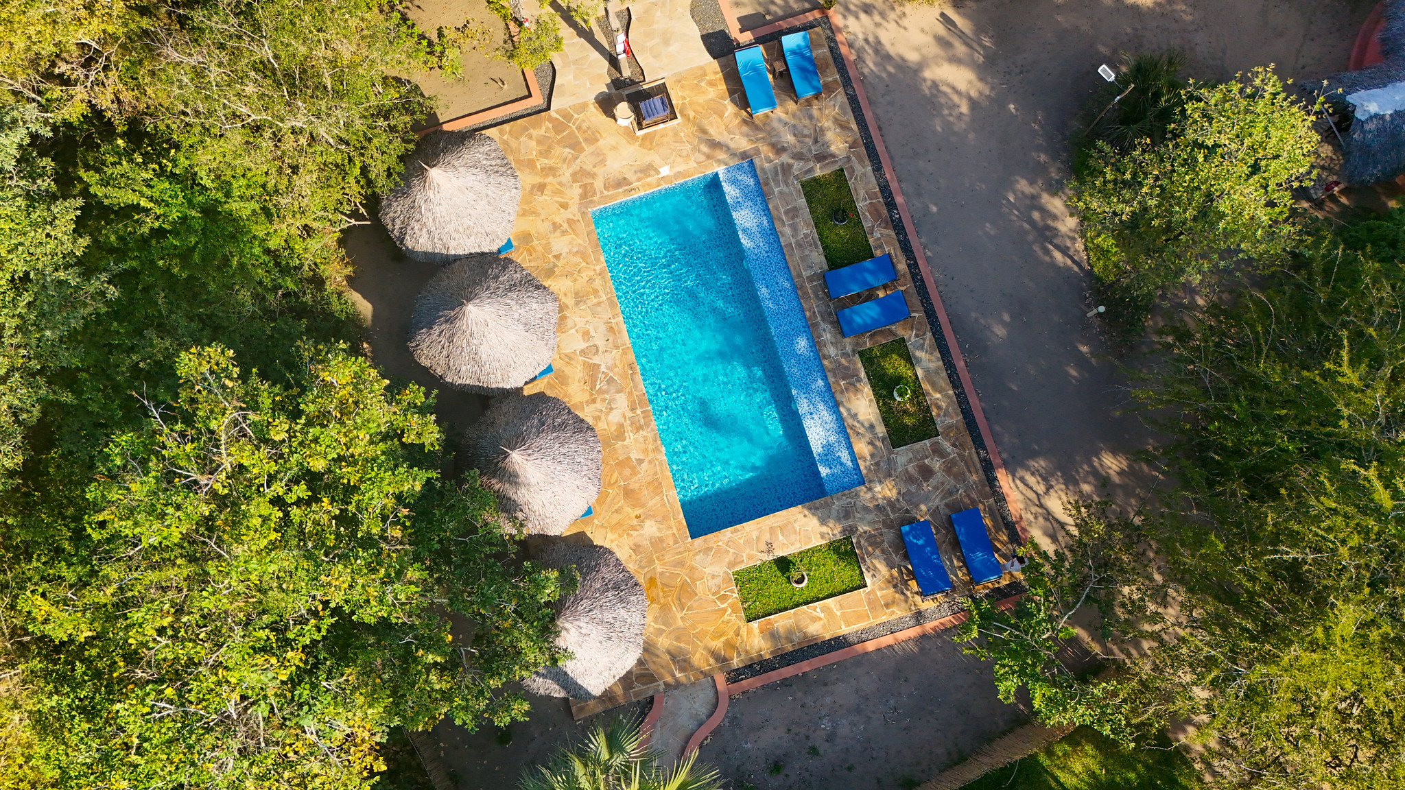 Africa Safari Selous Pool