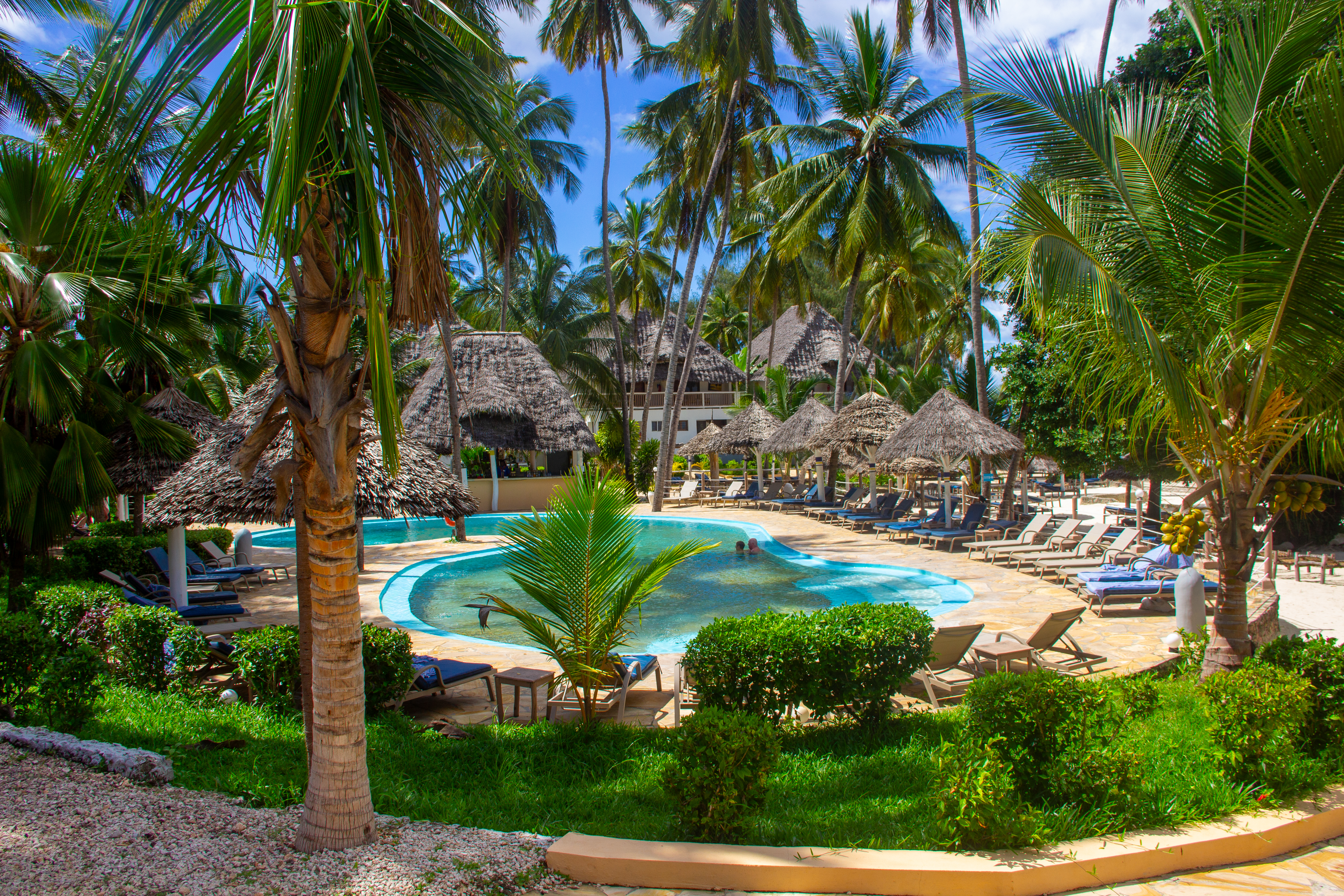 Pool & Beach