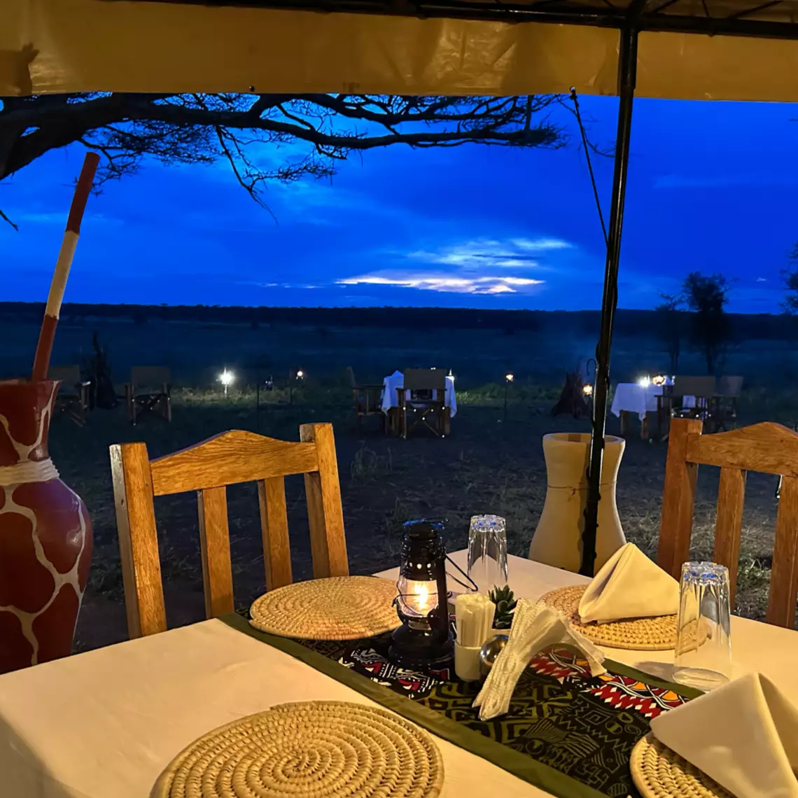 Beach Safari - Accommodation - Facilities - Restuarant and Bar - Africa Safari Serengeti Kusini - Image.web.p