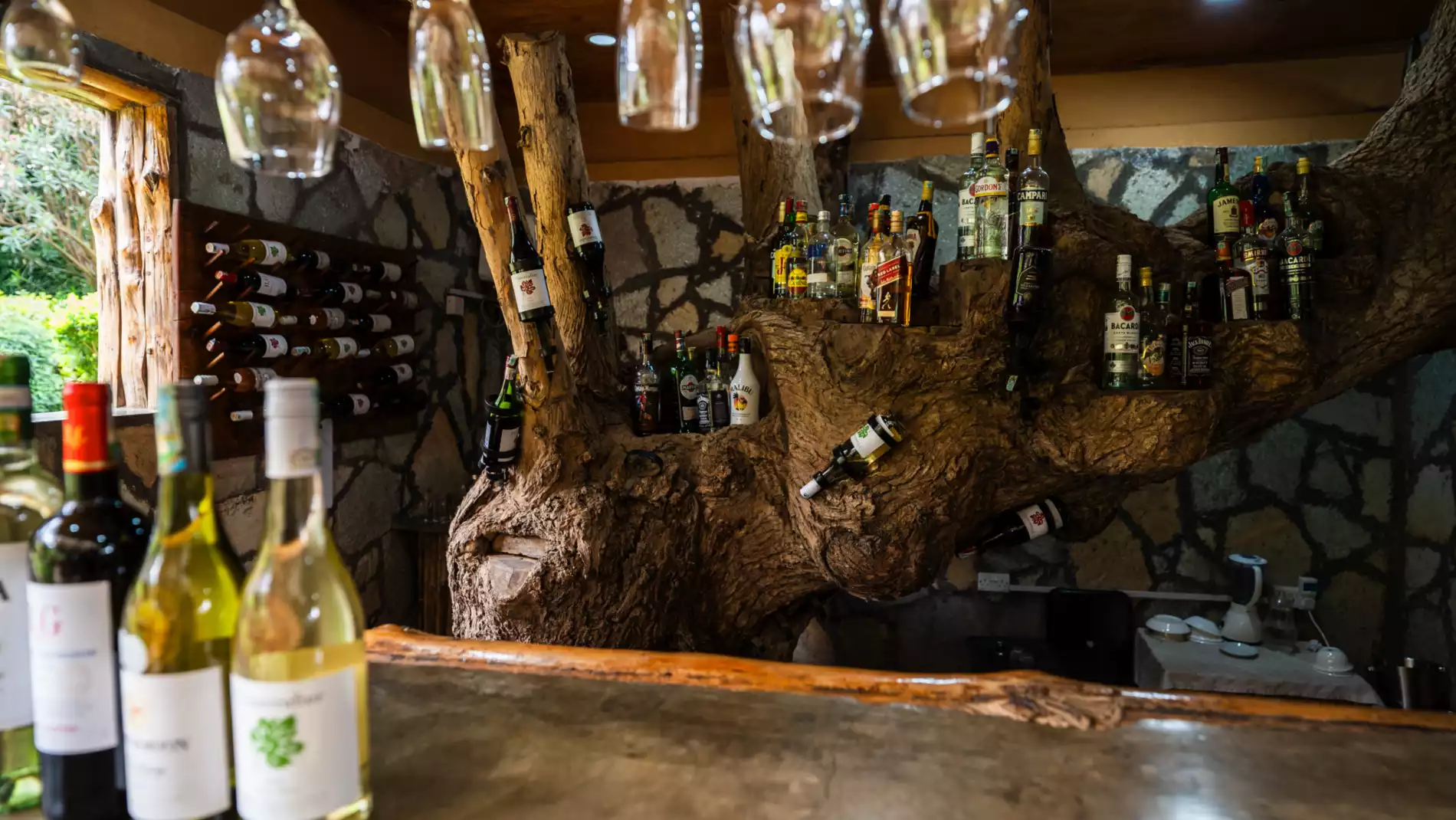 Beach Safari - Accommodation Detail - Africa Safari Arusha - Image Gallery 07.web.p