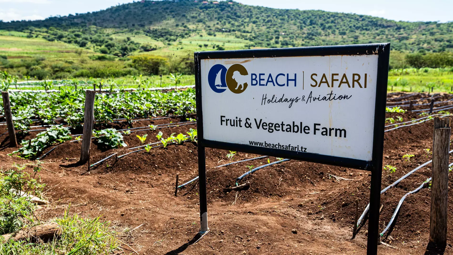 Beach Safari - Accommodation Detail - Africa Safari Karatu  - Image Gallery 13.web.p