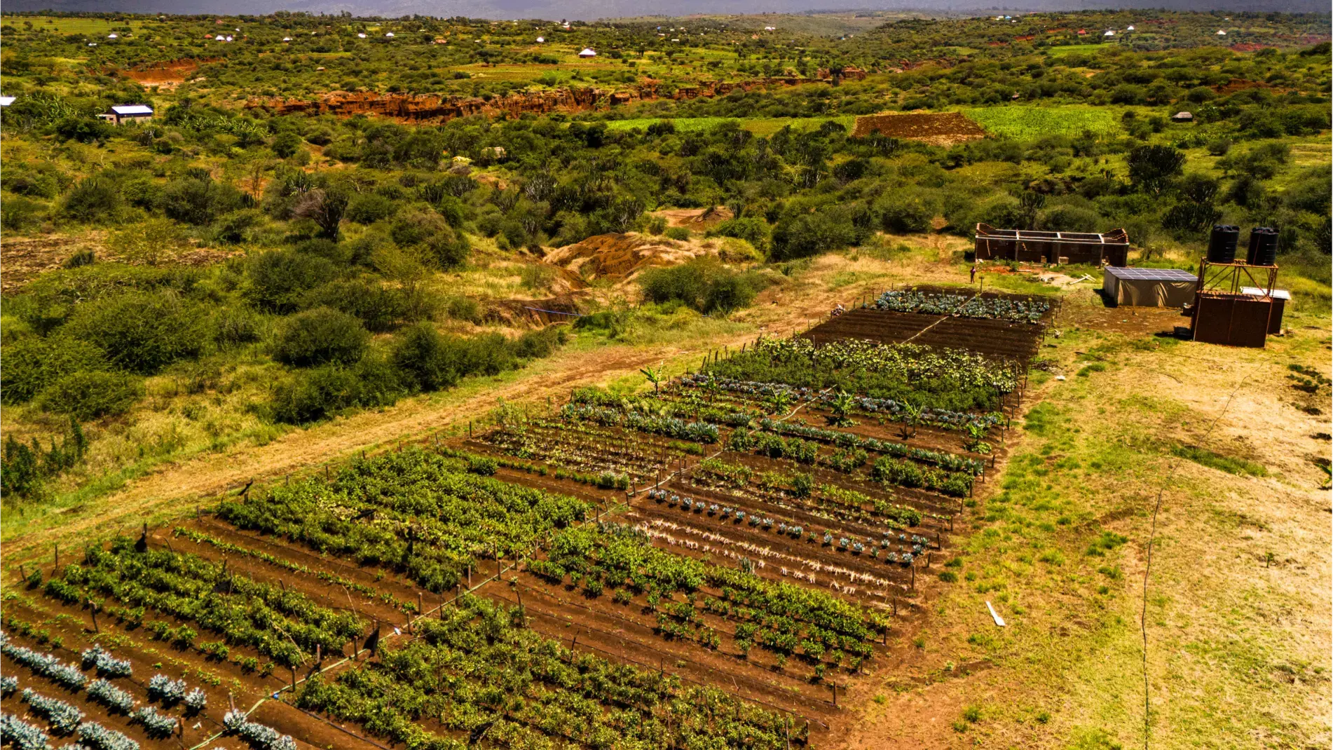 Beach Safari - Accommodation Detail - Africa Safari Karatu  - Image Gallery 14.web.p