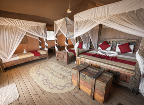 Africa Safari Lake Natron - Safari Luxury Glamping - 3