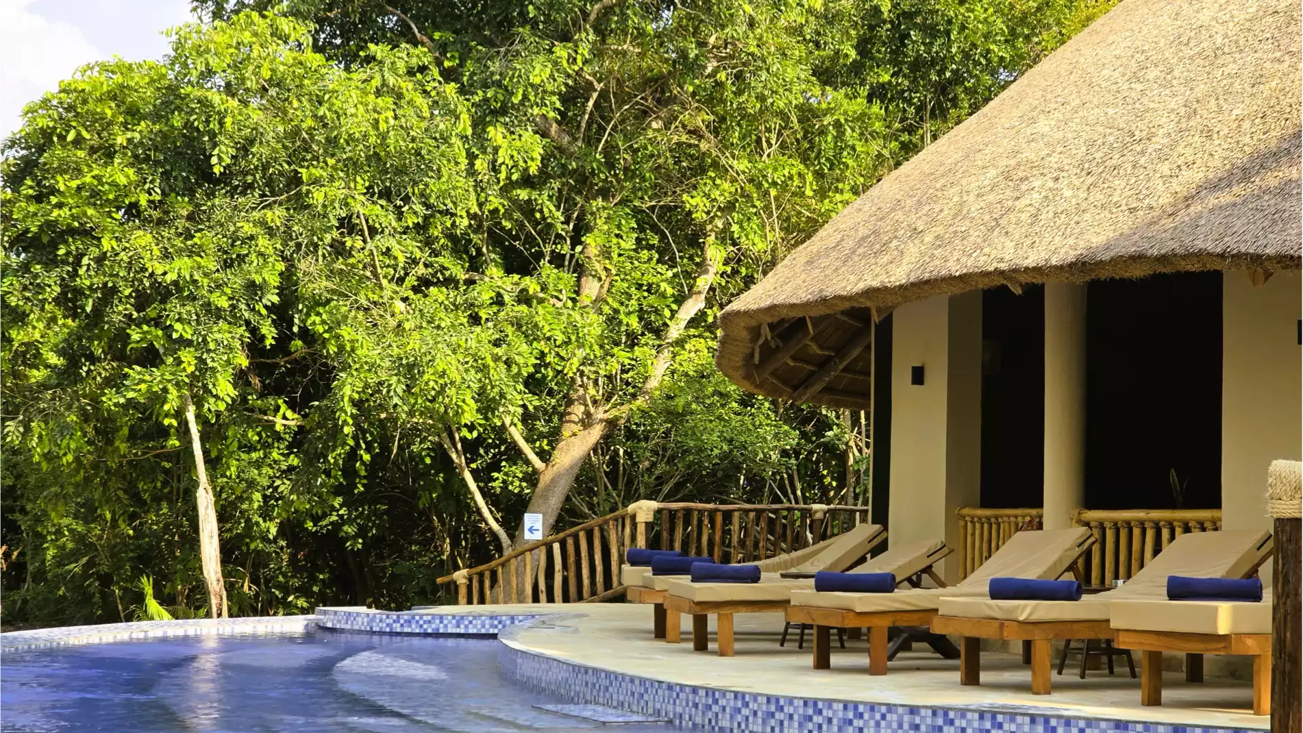 Africa Safari Nyerere