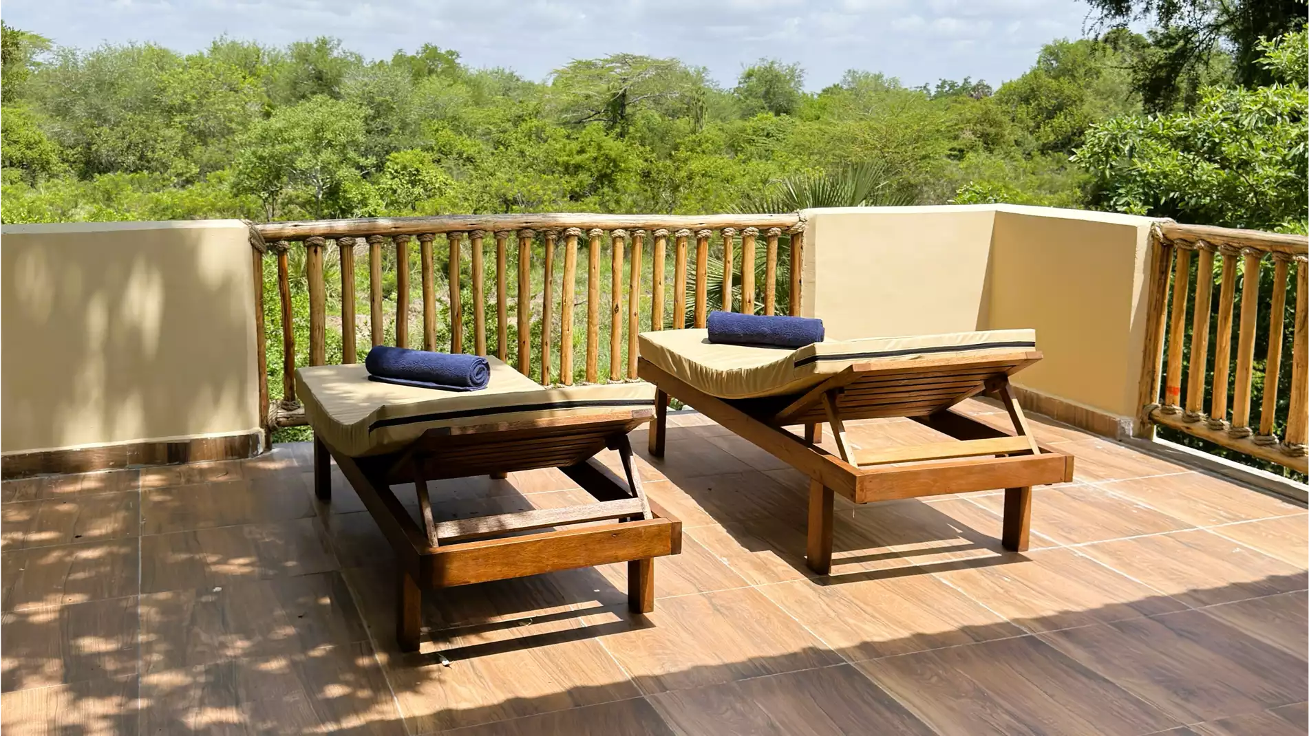 Africa Safari Nyerere