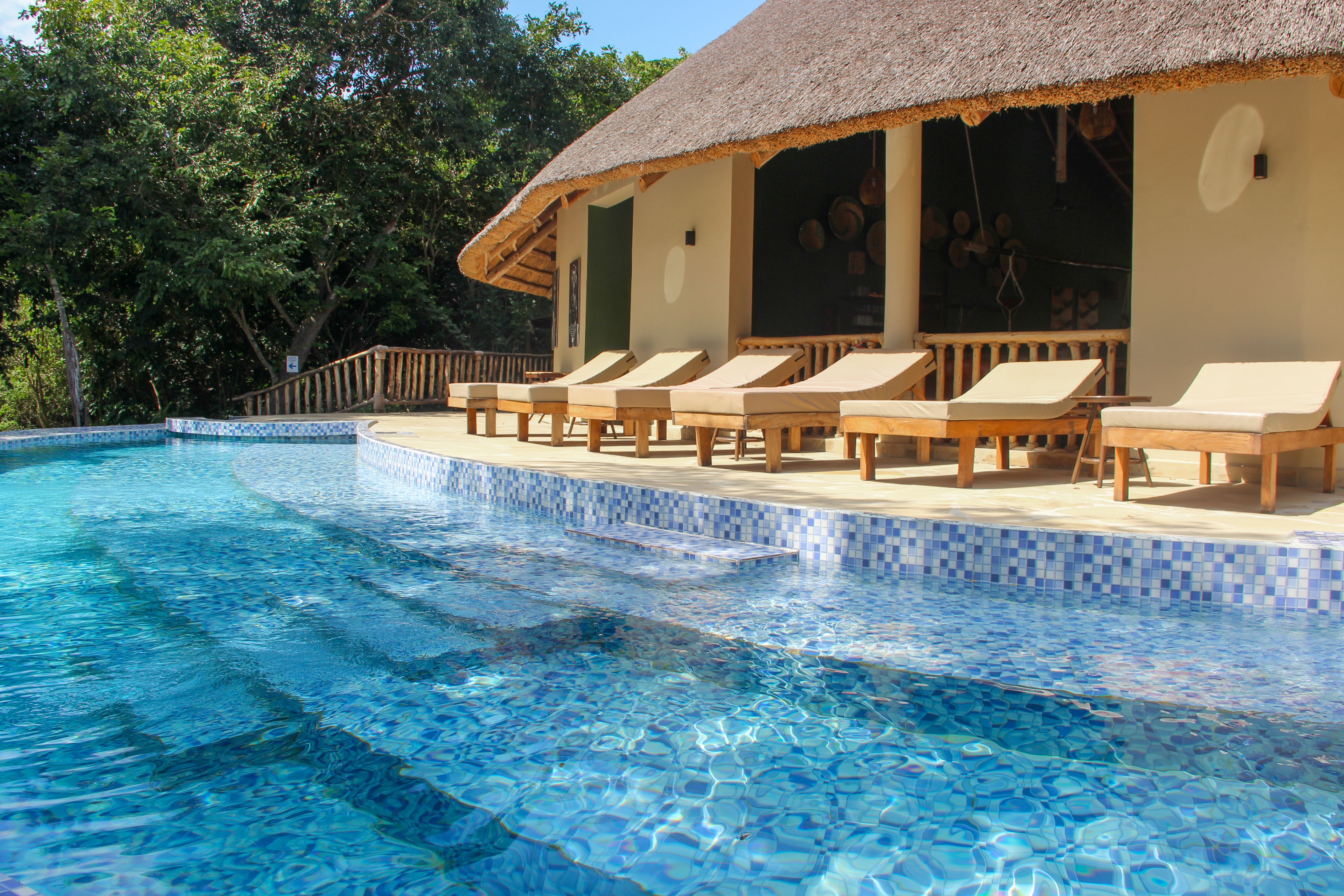 Africa Safari Nyerere9