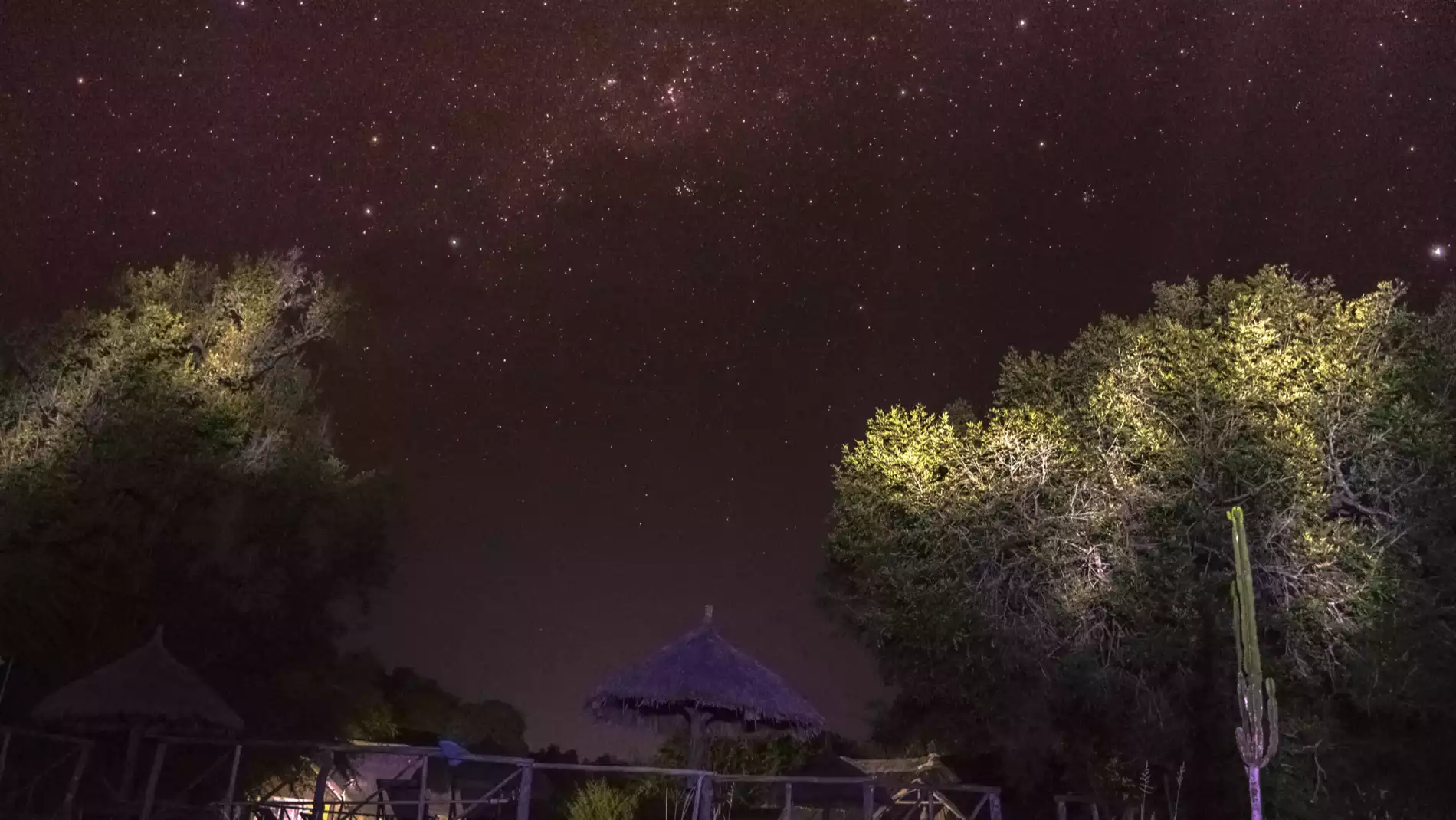 Beach Safari - Accommodation Detail - Africa Safari Selous - Image Gallery 13.WEB.P