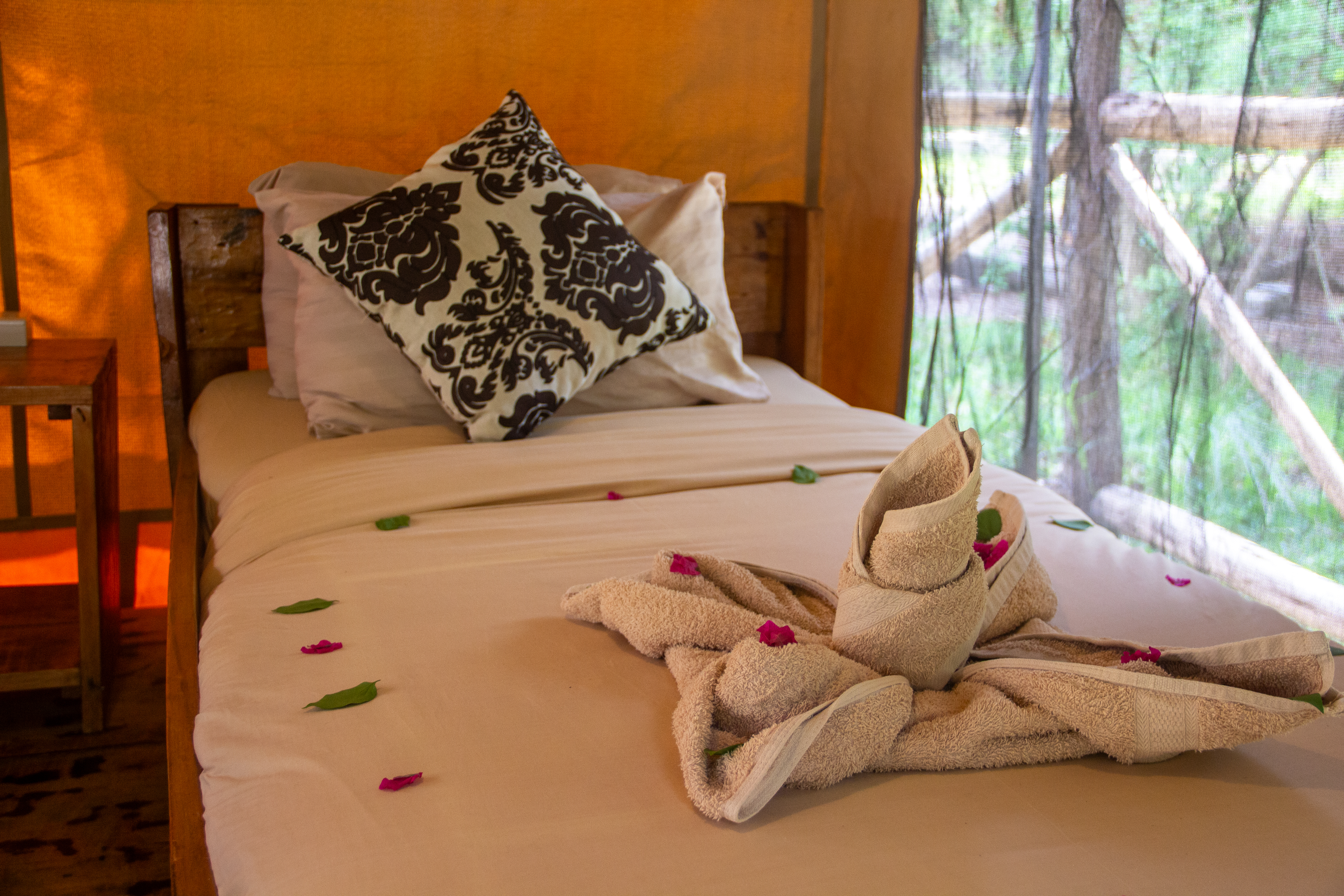 Africa Safari Selous Safari Tent2