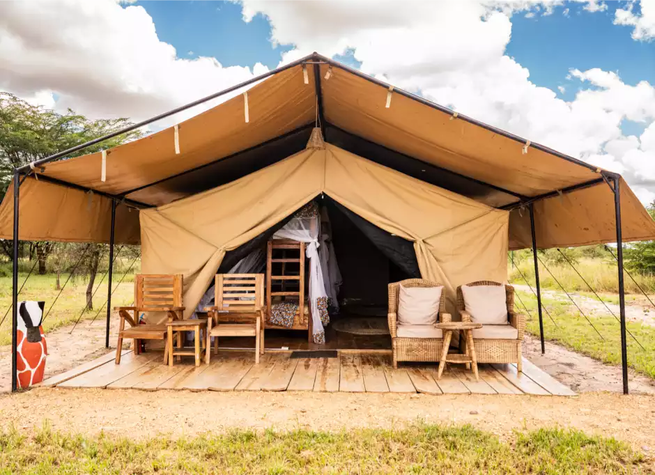 Africa Safari Serengeti Ikoma - Safari Comfort Family - 1