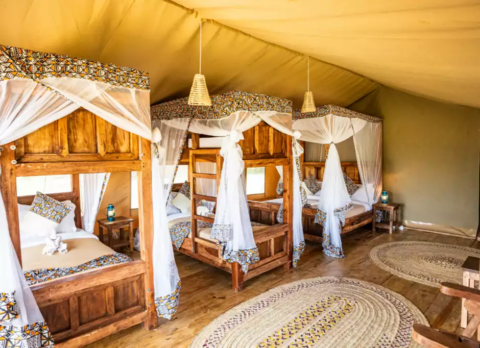 Africa Safari Serengeti Ikoma - Safari Comfort Family - 3