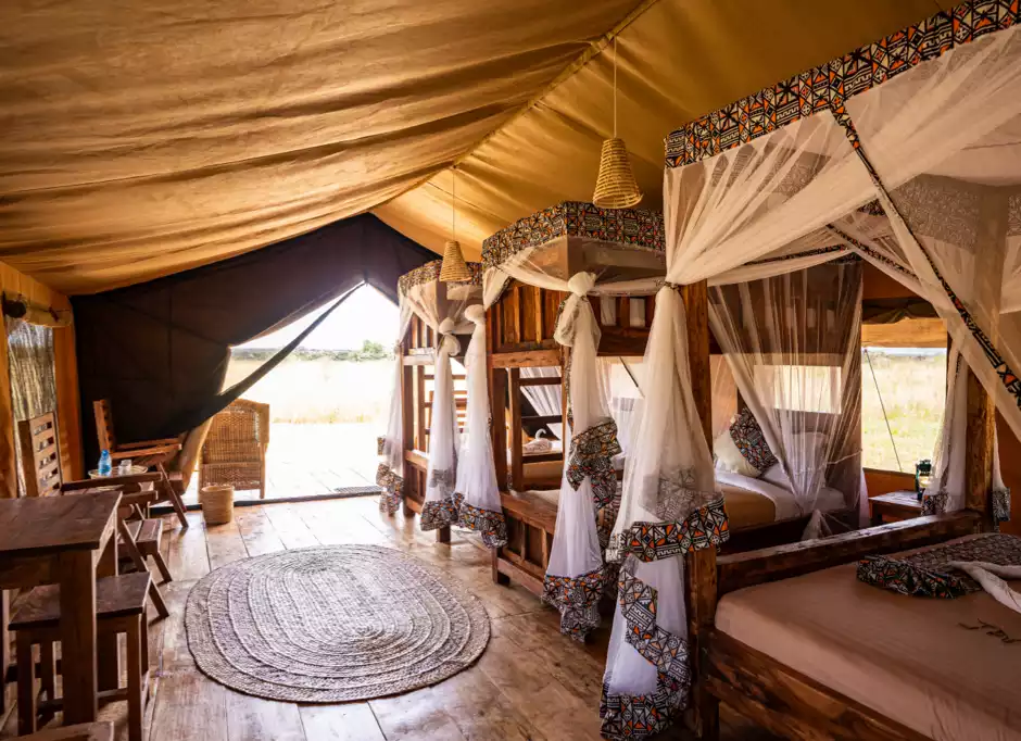 Africa Safari Serengeti Ikoma - Safari Comfort Family - 4