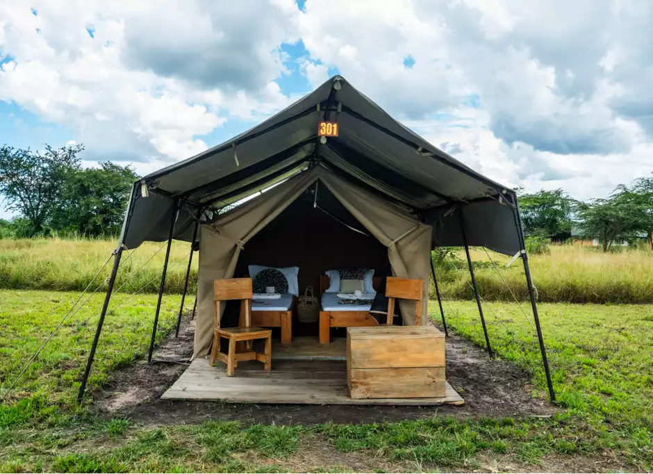 Africa Safari Serengeti Ikoma - Safari Tent - 1