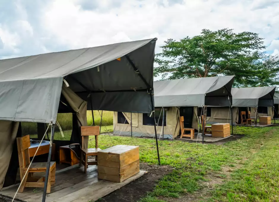 Africa Safari Serengeti Ikoma - Safari Tent - 3