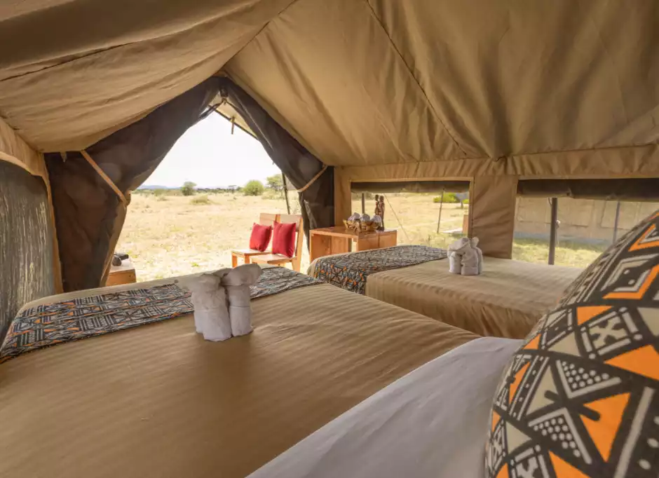 Africa Safari Serengeti Ikoma - Safari Tent - 5