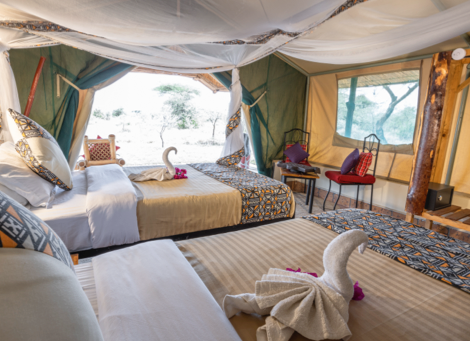 Africa Safari Serengeti Ikoma - Safari Comfort Accommodation - 4