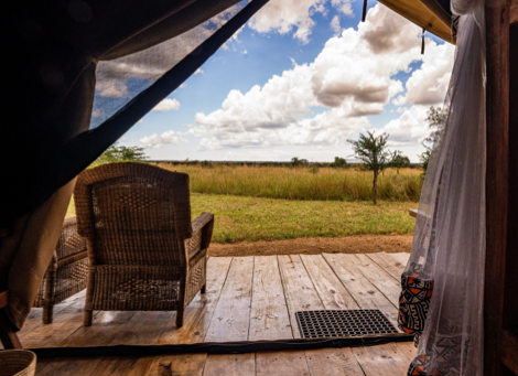 Africa Safari Serengeti Ikoma - Safari Comfort Family - 2